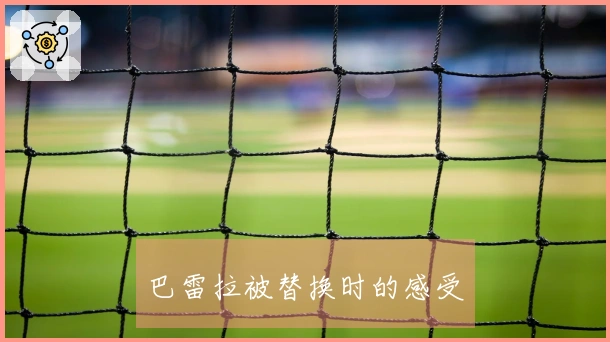 巴雷拉被替换时的感受